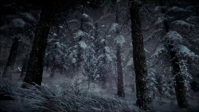 Снежная буря ночью в еловом зимнем лесу со звуками падающего снега ASMR для крепкого  сна