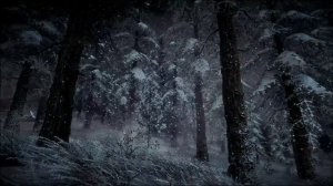 Снежная буря ночью в еловом зимнем лесу со звуками падающего снега ASMR для крепкого  сна