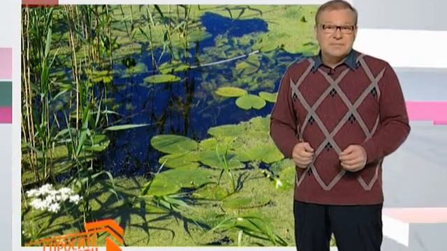 Спросите дядю Вову. Болото смотреть онлайн