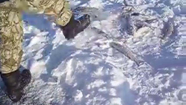 Казахстан. Рыбалка Маркаколь смотреть онлайн