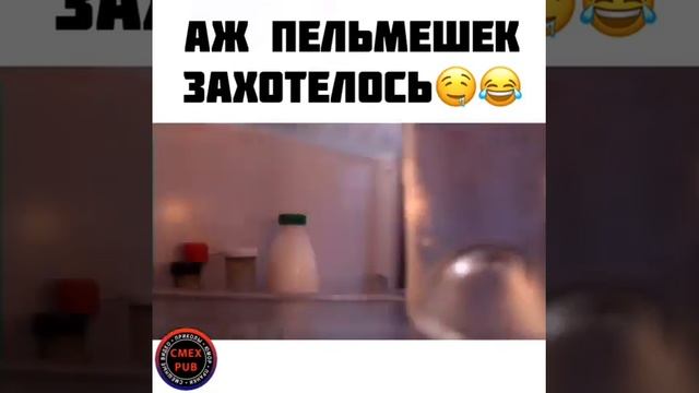 Как правильно есть пельмени смотреть онлайн