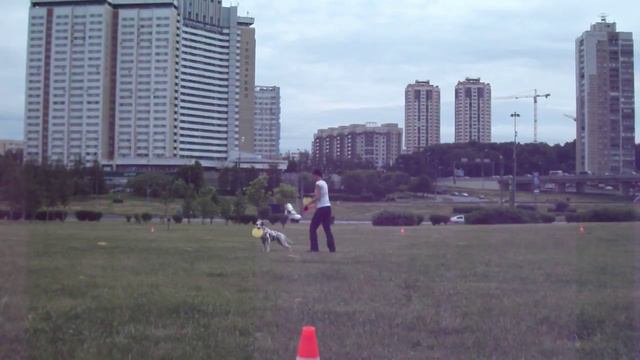 Лена и Одри, соревнования по фризби-фристайлу 18.06.11 смотреть онлайн
