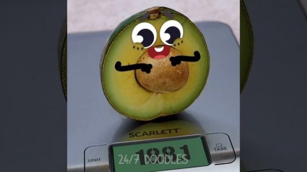 Doodles VS. People! Secret Life Of Cute Things - 24/7 DOODLES