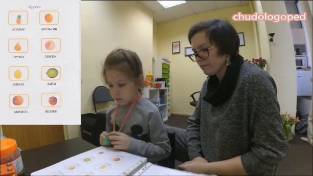 Папка дошкольника от Чудологопед: формируем семантические поля смотреть онлайн