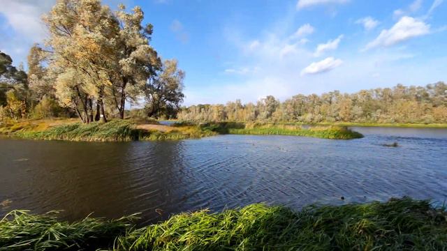 Порывы в Светлогорске #беларусь #светлогорск #погода смотреть онлайн