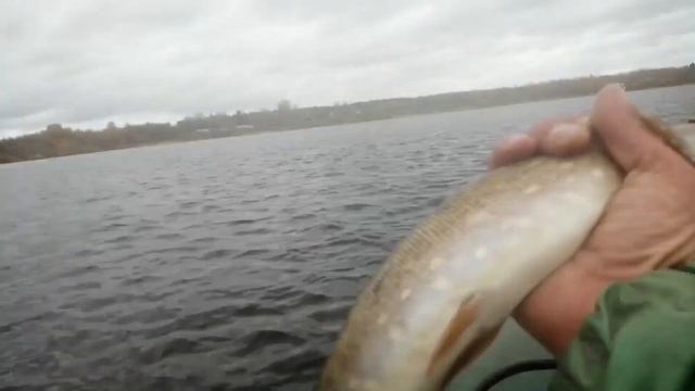 На что клюёт щука. Скнятино Волнушка. Воблер SSV Vulkan, колебалка Kastmaster, вертушка MEPPS AGLIA