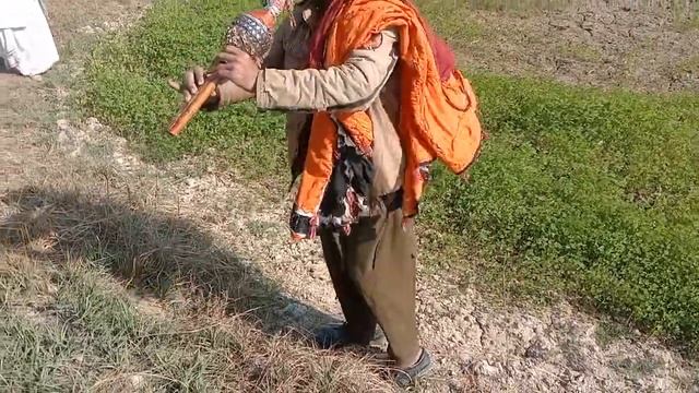 black cobra attacked the Jogi | Cobra snake huntting in the field | new video king cobra tv | snake смотреть онлайн