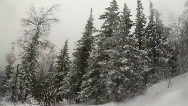 Поездка на белую гору Нижний Тагил 8.03.21 смотреть онлайн