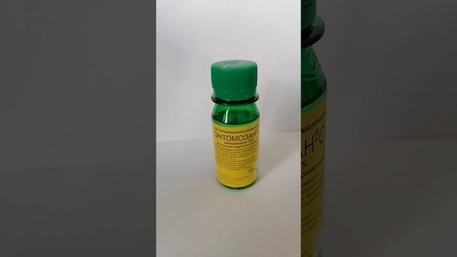 Энтомозан смотреть онлайн