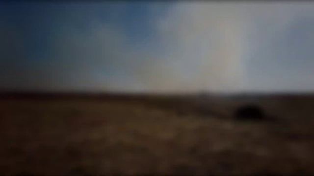 Картинка от 3 октября 2020 г. Поездка с приключениями на пляж. Часть 1. смотреть онлайн