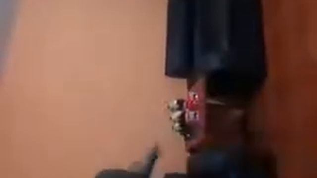 Baylando con el amor de mi vida смотреть онлайн