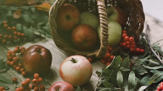 Backstage: Практическое занятие по предметной съемке на курсе "Основы съемки на цифровую камеру" смотреть онлайн