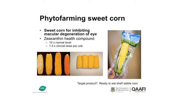 Roger Stanley, Uni QLD - Part 2 - 'Phytofarming nutrients for health' смотреть онлайн
