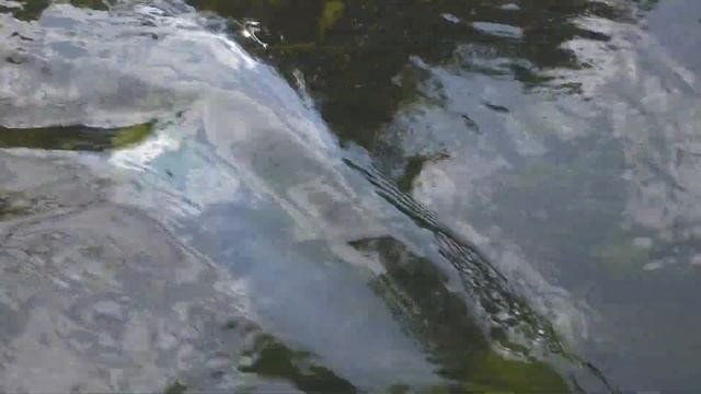 Сплав по реке Илия смотреть онлайн