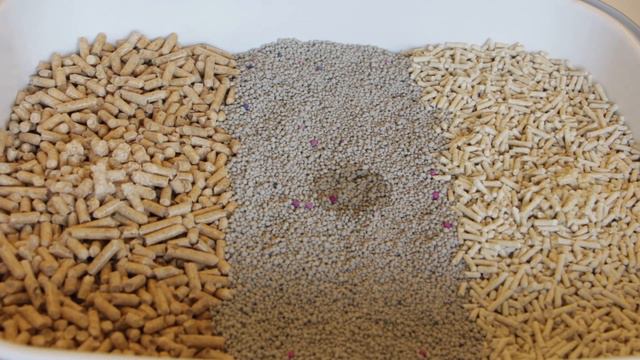 3 types of cat litter смотреть онлайн