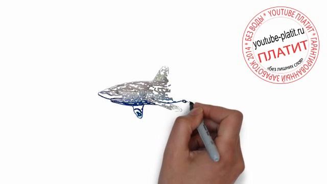 Как поэтапно нарисовать карандашом морскую акулу смотреть онлайн