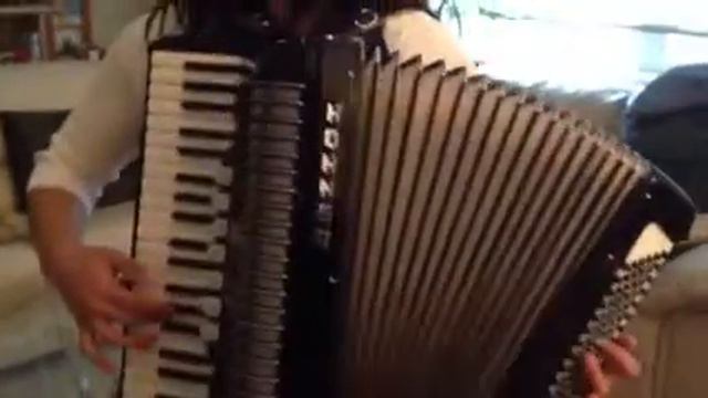 Hohner Thirty-MS Accordion смотреть онлайн