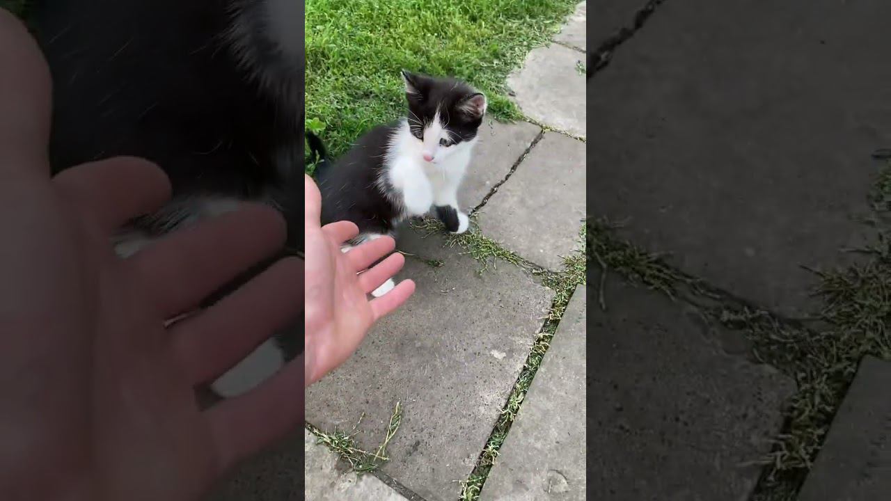 Кирилл Степанов-Молодой фермер