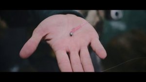 RockFishing в Крыму. Рыбалка на Чёрном море. Поимка зеленухи