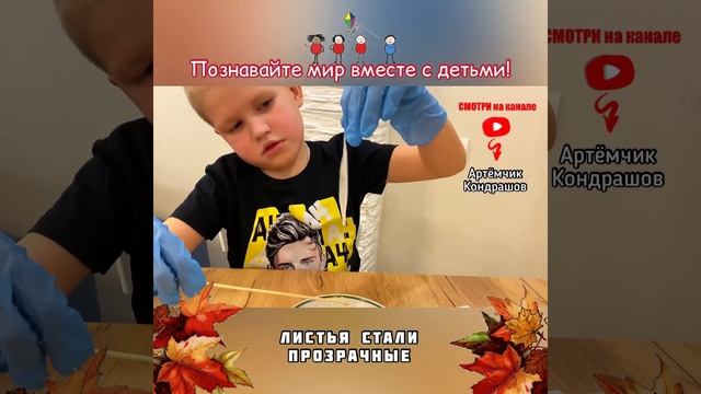 Детские эксперименты / Опыты с детьми / Ажурные скелетированные листья смотреть онлайн