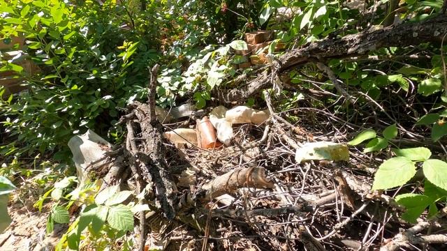 Bought an abandoned dacha, Cottage life, Сountry living, homesteading, Off grid living. PART 1 смотреть онлайн