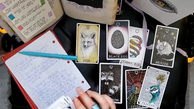 One Month with the Wild Unknown Animal Spirit Oracle смотреть онлайн