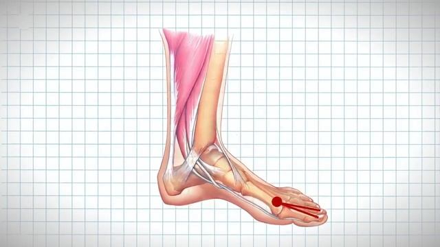 10 волшебных точек на теле! акупрессура (акупунктура) смотреть онлайн