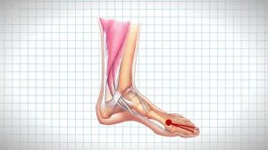 10 волшебных точек на теле! акупрессура (акупунктура)