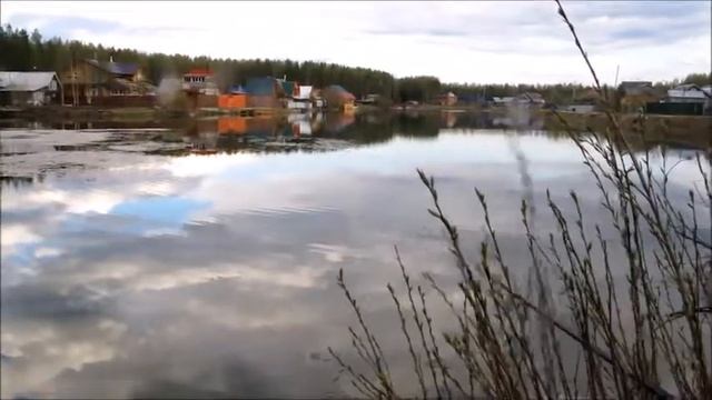 Рыбалка-пикник! смотреть онлайн