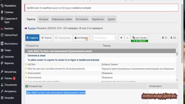 Автоматический перевод плагинов вордпресс смотреть онлайн