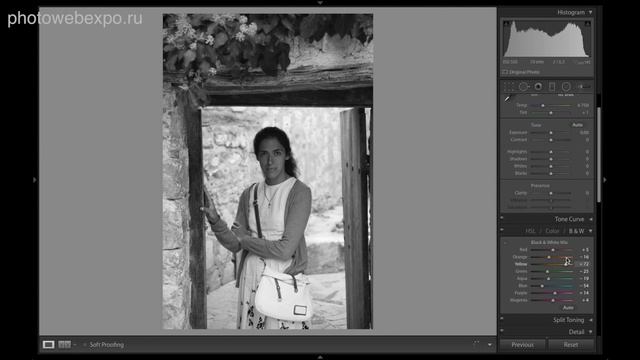 Перевод цвета в чб. Видео урок по фотографии 65 смотреть онлайн