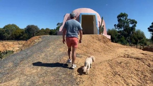 CACTUS COUNTRY / CACTI / VICTORIAN TOURISM / CACTUS / VANLIFE / TRAVEL / MEXICO / CACTUS WORLD