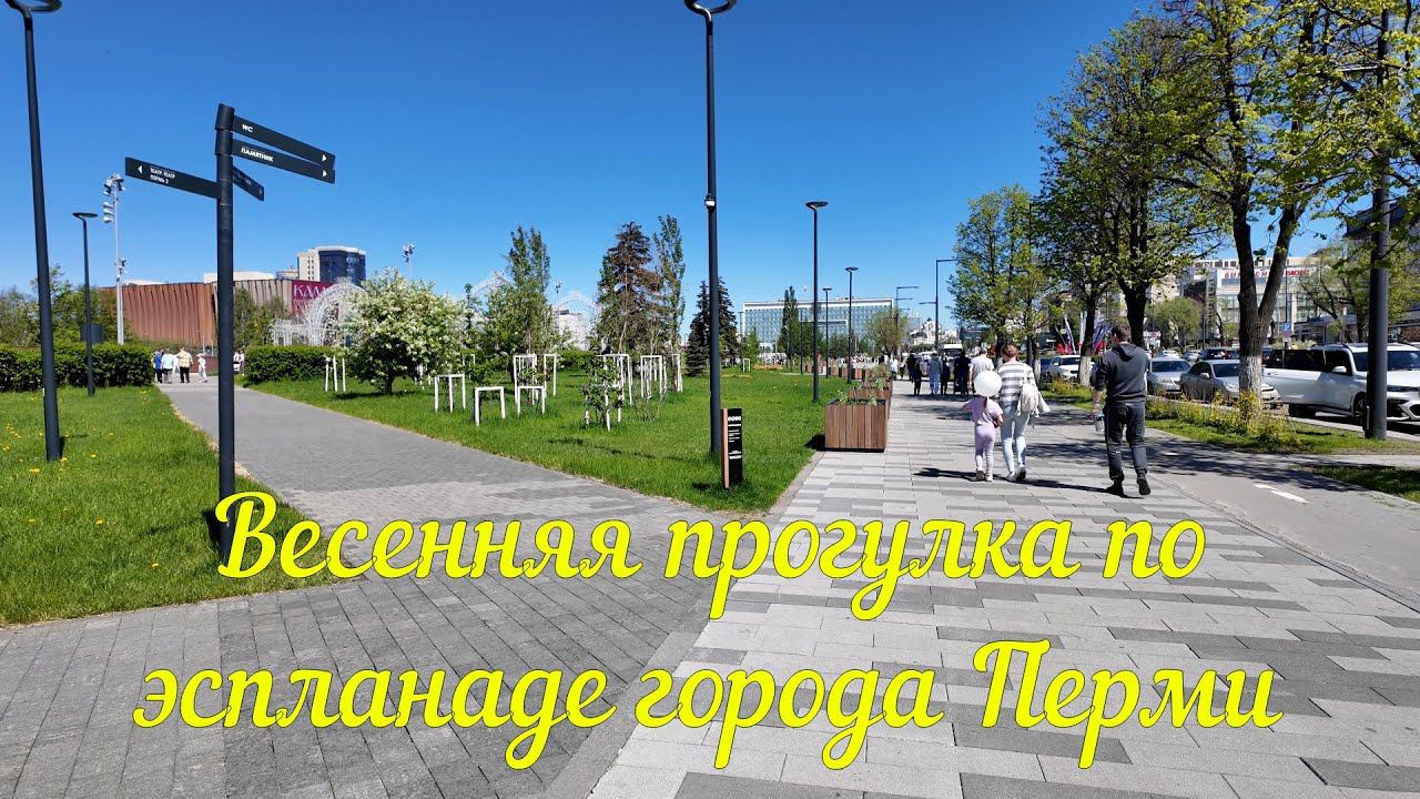 Кинофестиваль Медвежонок 2 и прогулка по эспланаде июнь 2024 года. смотреть онлайн