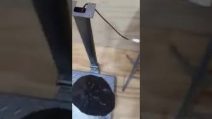 Калибровка напольных китайских весов