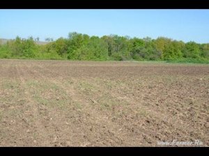 Органический фермер Иван Новичихин. Обработка почвы