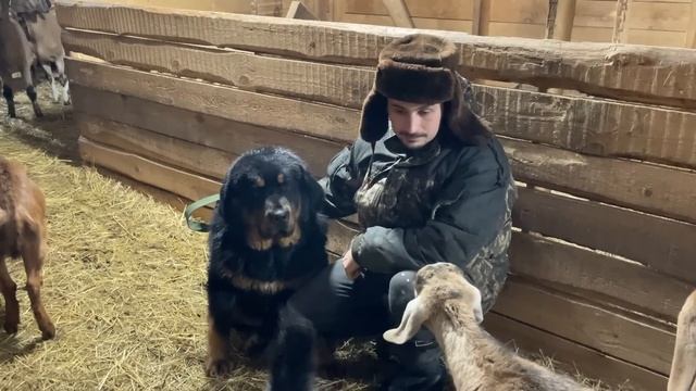 ЭТО СТОИТ ДОРОГО! РЕМОНТ ПРОДОЛЖАЕТСЯ! ПРОВОДКА В ДЕРЕВЕНСКОМ ДОМЕ! ЖИЗНЬ ПРОСТЫХ ЛЮДЕЙ В ДЕРЕВНЕ! смотреть онлайн