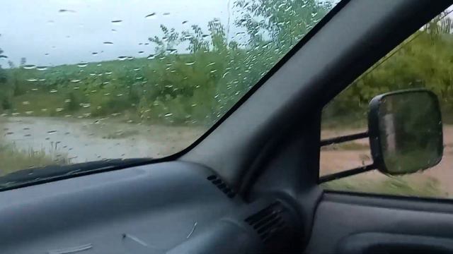 Перевез пчел на подсолнух смотреть онлайн