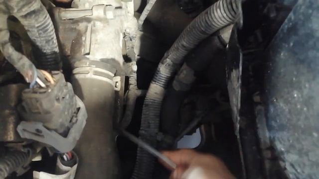 Lada Vesta. Где находится номер двигателя. Как и чем очистить.