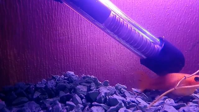 Секреты Творческой Мастерской