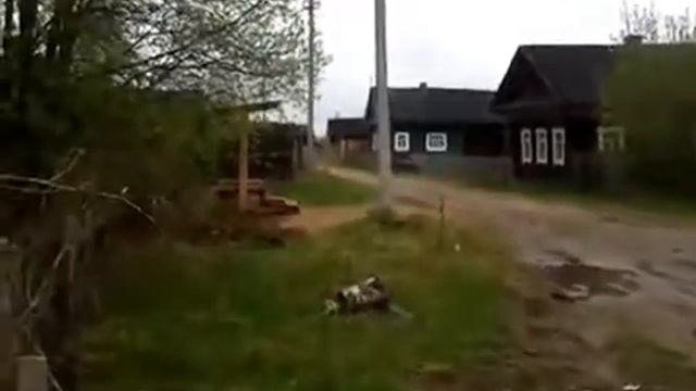 Водитель скутера 80 уровня смотреть онлайн