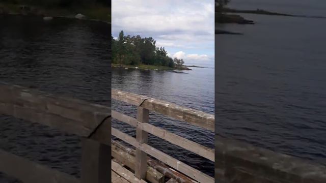 пошли против системы - все на юг, а мы на север🤪 смотреть онлайн