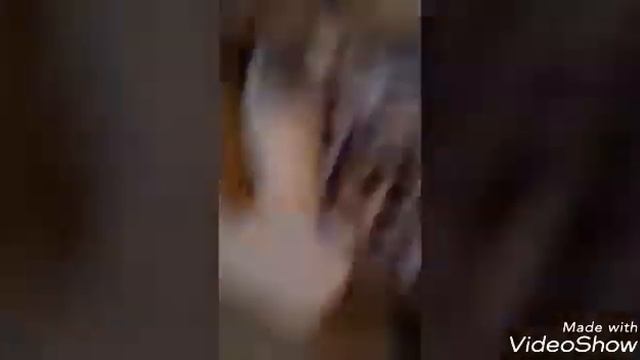 Що треба знати щоб завести кота смотреть онлайн