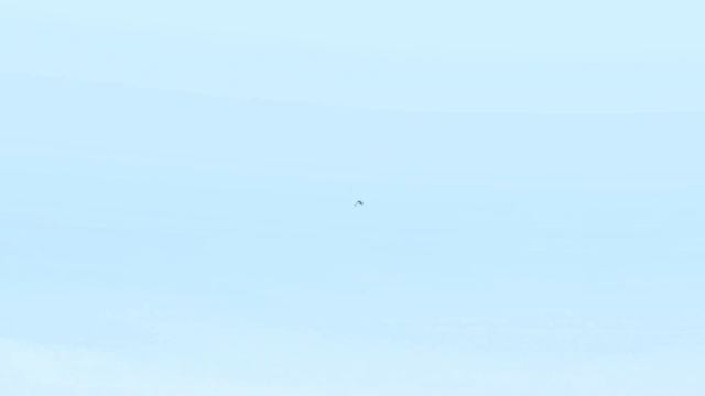 100 СПОСОБОВ НЕПРАВИЛЬНО ЗАРЯДИТЬ РПГ - HAND SIMULATOR смотреть онлайн