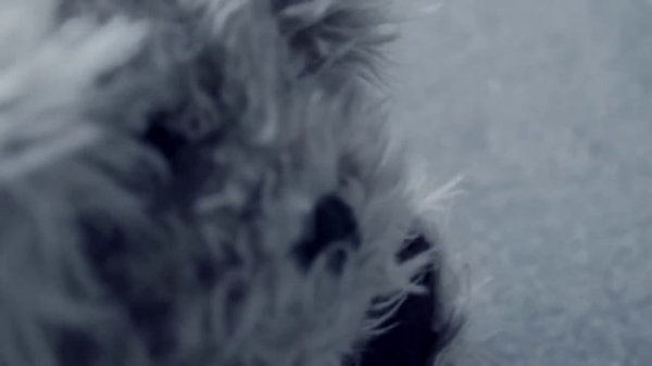 "Welcome Home Son" - Music Video COVER