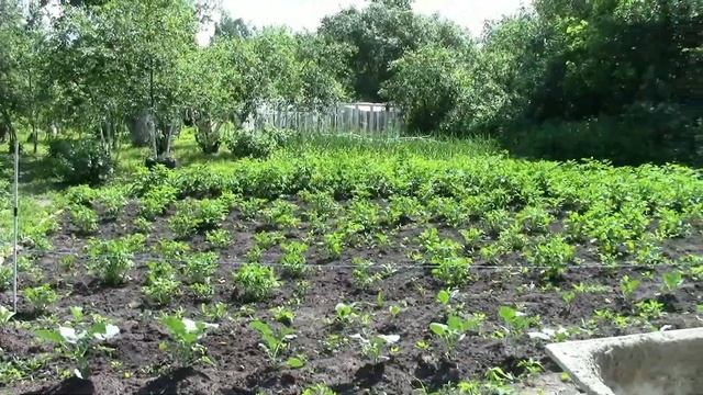 Строительные Легенды