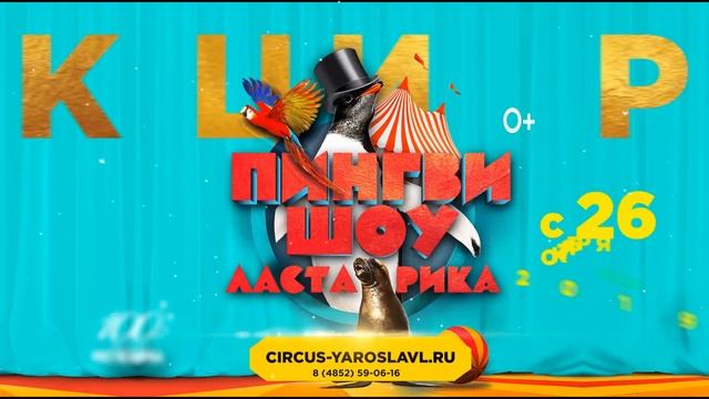 ПИНГВИ-шоу «Ласта-рика» I ВПЕРВЫЕ в Ярославском цирке! смотреть онлайн