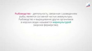 Животноводство как технология выращивания животных