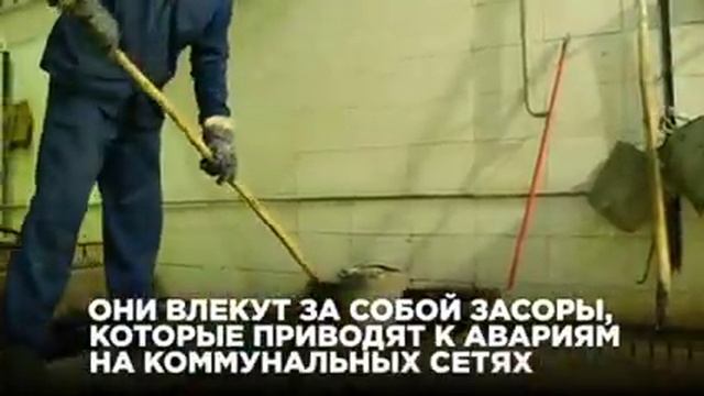 Не выбрасывайте мусор в канализацию смотреть онлайн