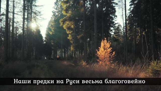 Зачем нужна лампадка дома, и когда её зажигать смотреть онлайн