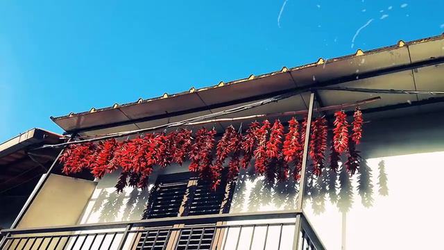 Escursione Serra S.Bruno-Soriano Calabro смотреть онлайн